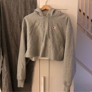 Champion Reverse Weave gray cropped hoodie